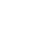SJP